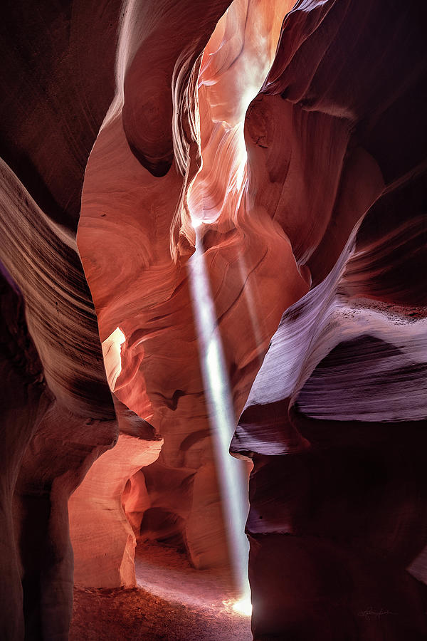 The Navajo Photograph by Renee Sullivan