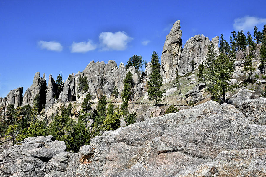 The Needles Highway 1 Photograph by John Stone - Fine Art America