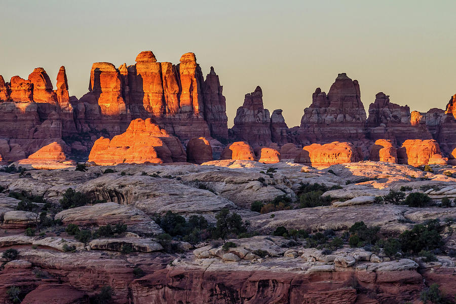 The Needles of Canyonlands at Sunrise Photograph by Pierre Leclerc Photography