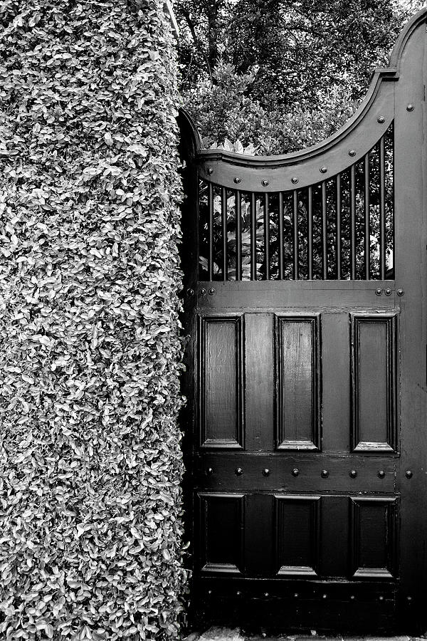 THE NEIGHBOURHOODS GATE Charleston SC Photograph by William Dey