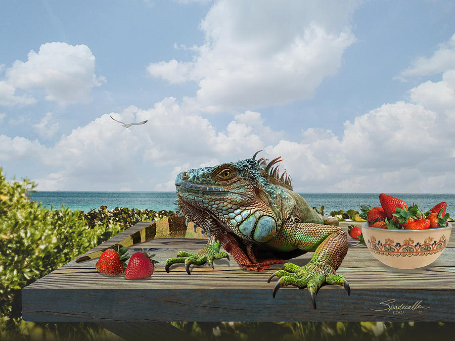 The New Floridian Digital Art by Spadecaller