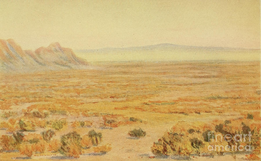 The New Mexico Desert Region P3in Winter Drawing