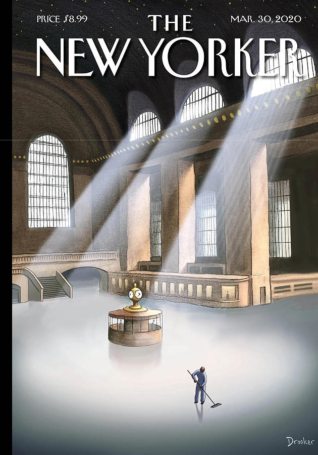 daymak new yorker