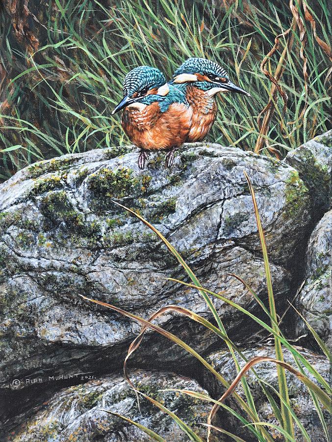The Next Generation Kingfisher Painting by Alan M Hunt