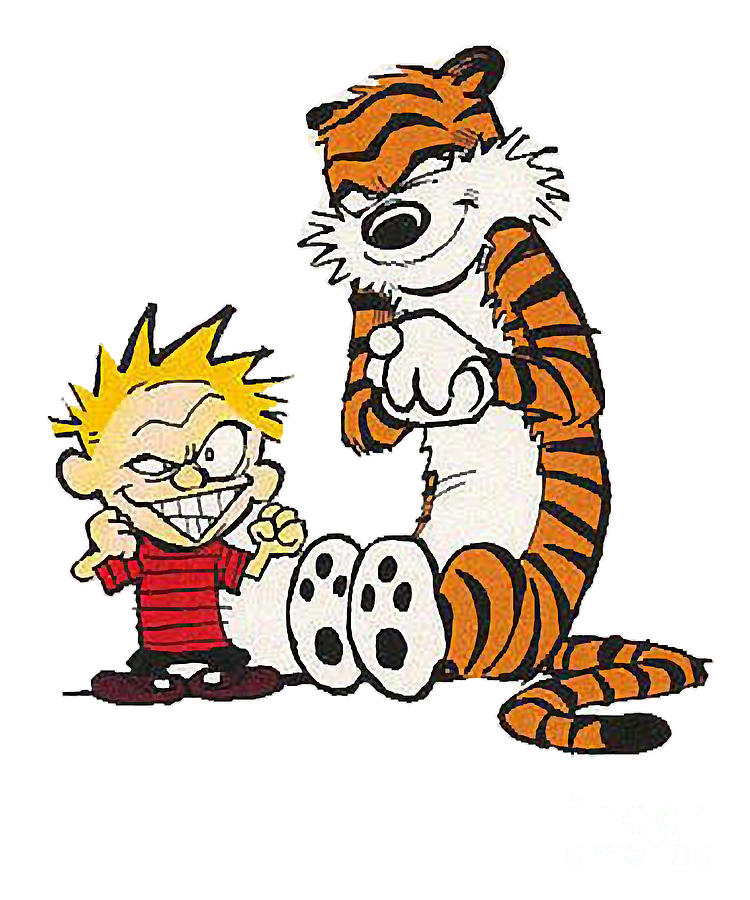 The Next Things Calvin Hobbes Cartoon Vintage Colour Digital Art by ...