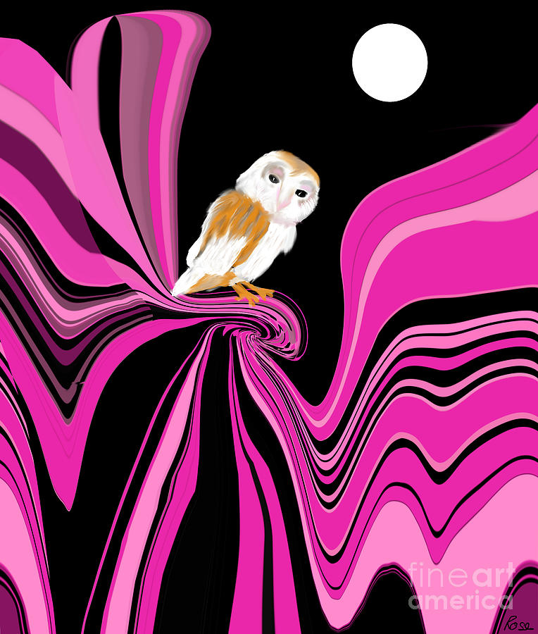 The night owl Digital Art by Elaine Hayward
