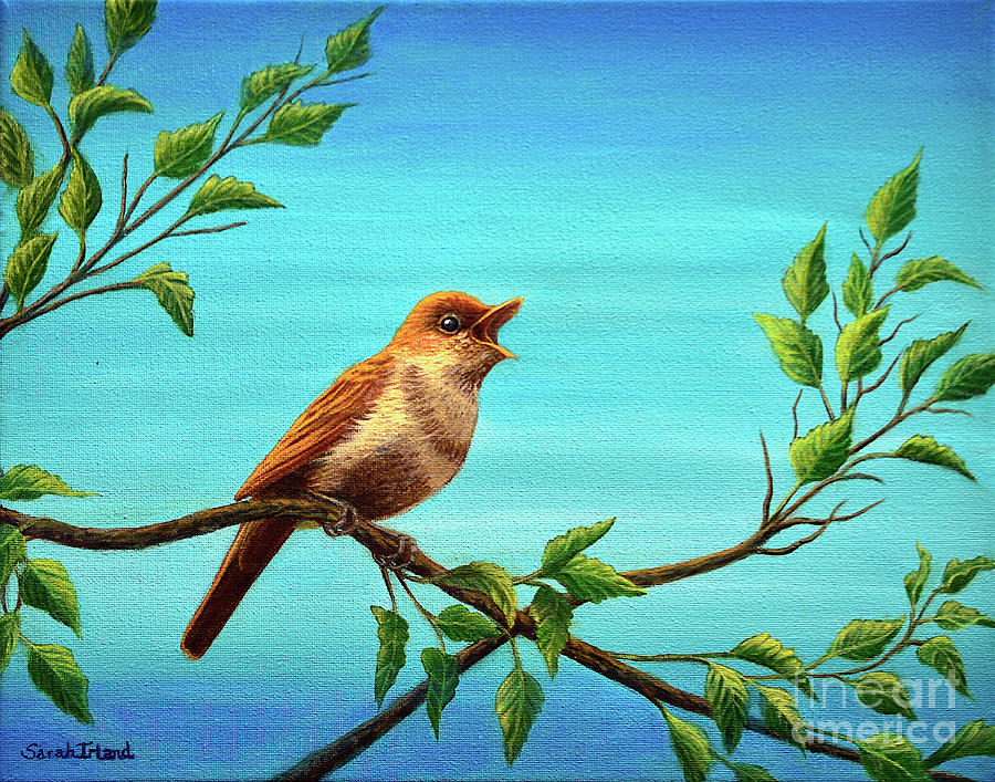 The Nightingale Still Sings Painting by Sarah Irland