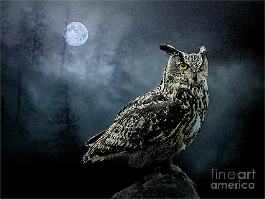 The Nightwatch Digital Art by Brian Tarr