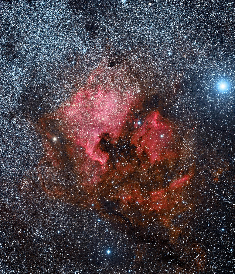 The North America Nebula Photograph by Chris Willocks | Pixels