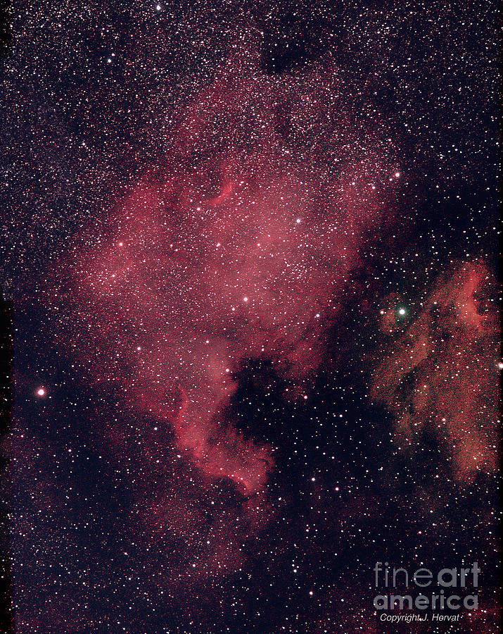 The North America Nebula Photograph by James Hervat