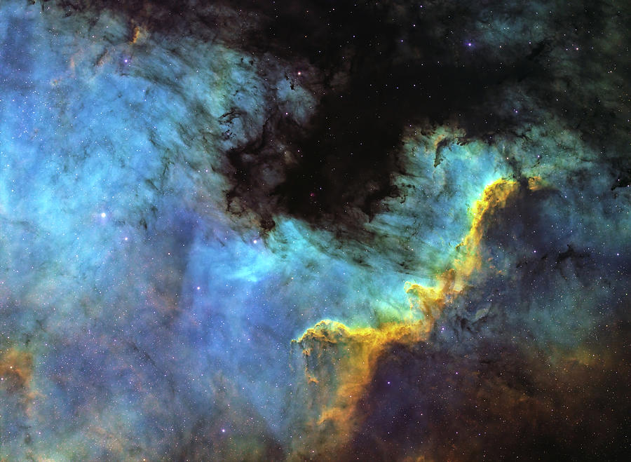 The North American Nebula / Cygnus Wall / NGC 7000 Photograph by ...