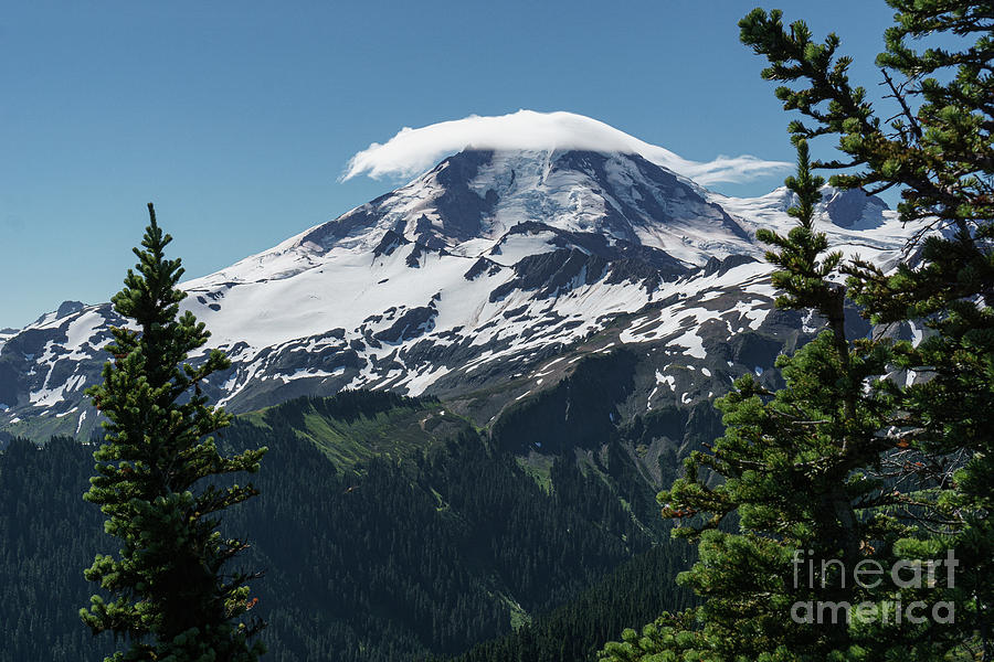 Summer Photograph - The North Face of Mount Baker by Nancy Gleason