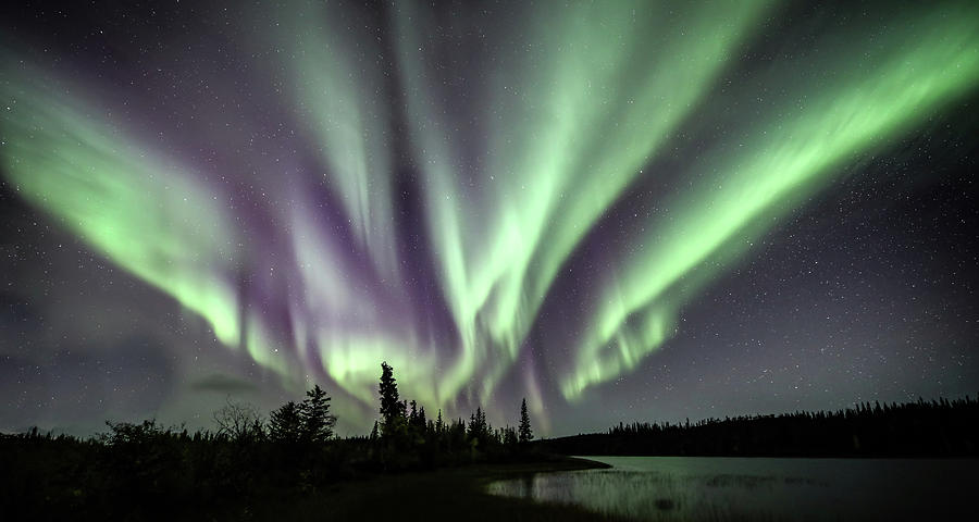 The Northern Lights fill the sky Photograph by Steven Upton