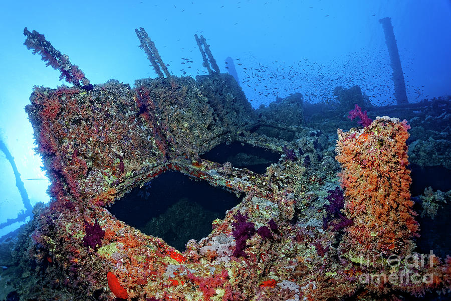 The Numidia - Shipwreck Photograph by Norbert Probst