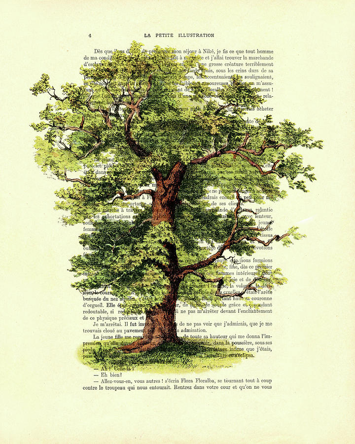 Tree Mixed Media - The Oak Tree by Madame Memento
