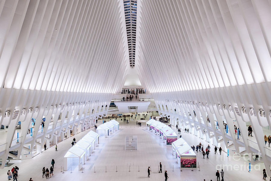  The Oculus Photograph by Ava Reaves