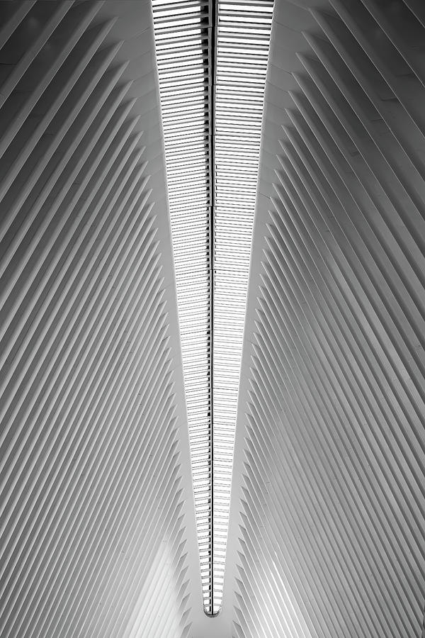 The Oculus Spine Photograph by Christine Ley