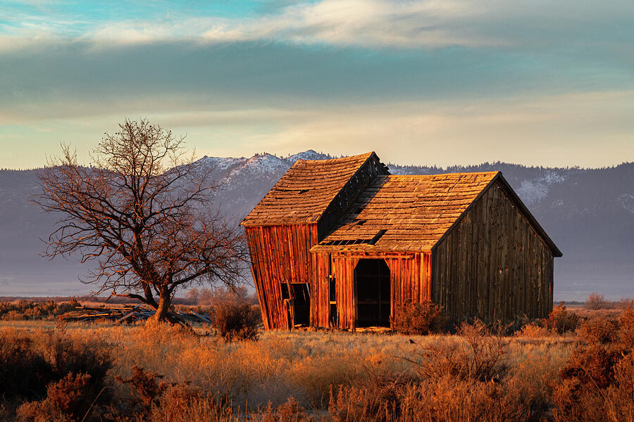 The Old Barn Photograph by Mike Lee