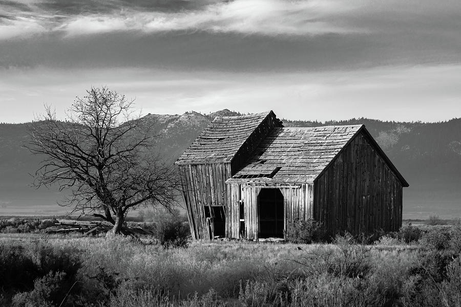 The Old Barn Monochrome Photograph by Mike Lee