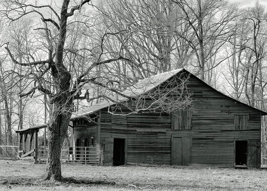 The Old Barn Photograph by Roberta Byram