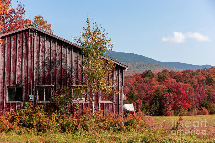 The Old Barn Rt100 Vermont Fall Foliage Photograph by Edward Fielding