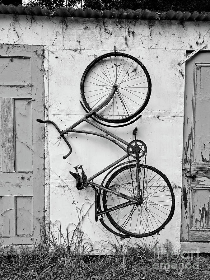 The Old Bike Photograph by Tracey Lee Cassin