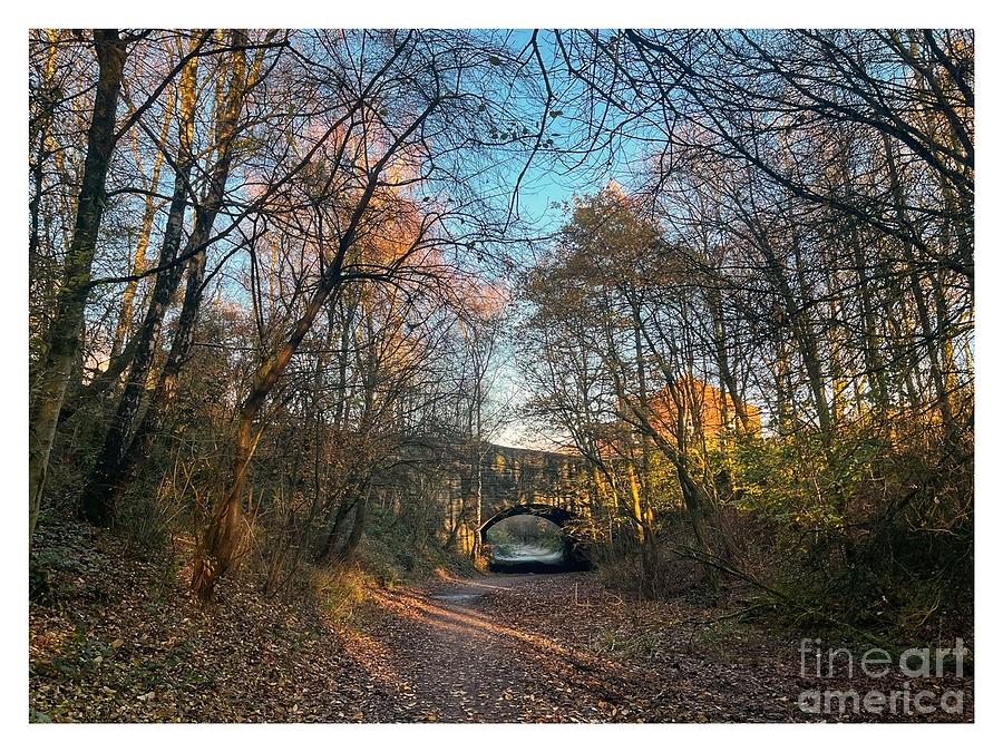 The Old Bridge Digital Art By CP Shorrock - Fine Art America