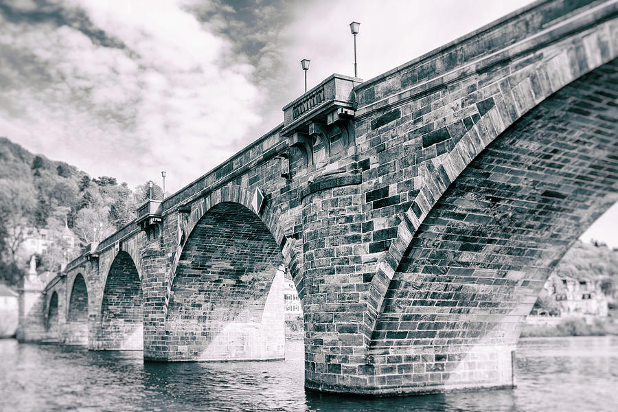The Old Bridge Of Heidelberg Photograph by Iryna Goodall
