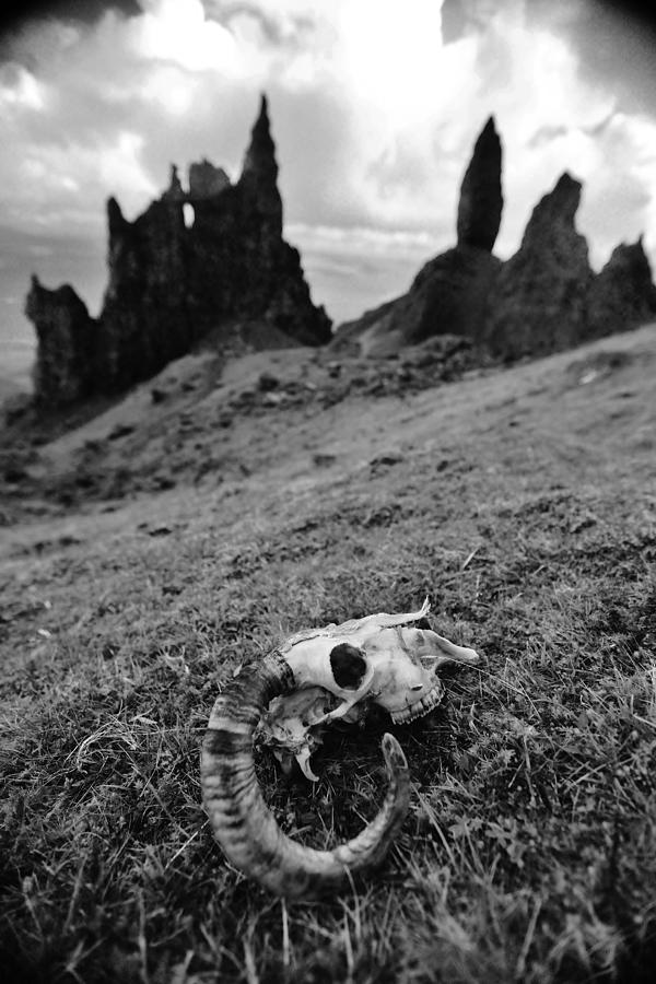 The Old Ewe Of Storr Photograph