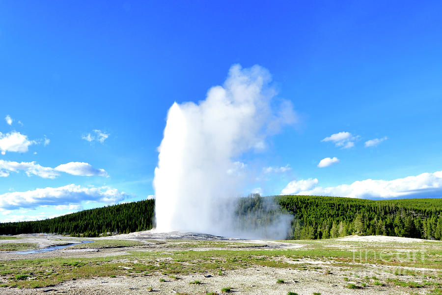 The Old Faithful Geyser Photograph by Amazing Action Photo Video