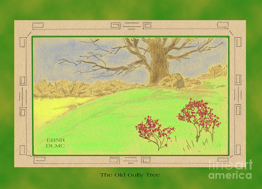 The Old Gully Tree Drawing by Donna L Munro