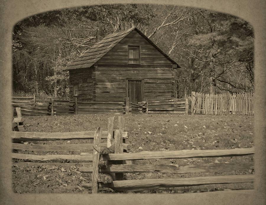 Tree Photograph - The Old Home Place by M Three Photos