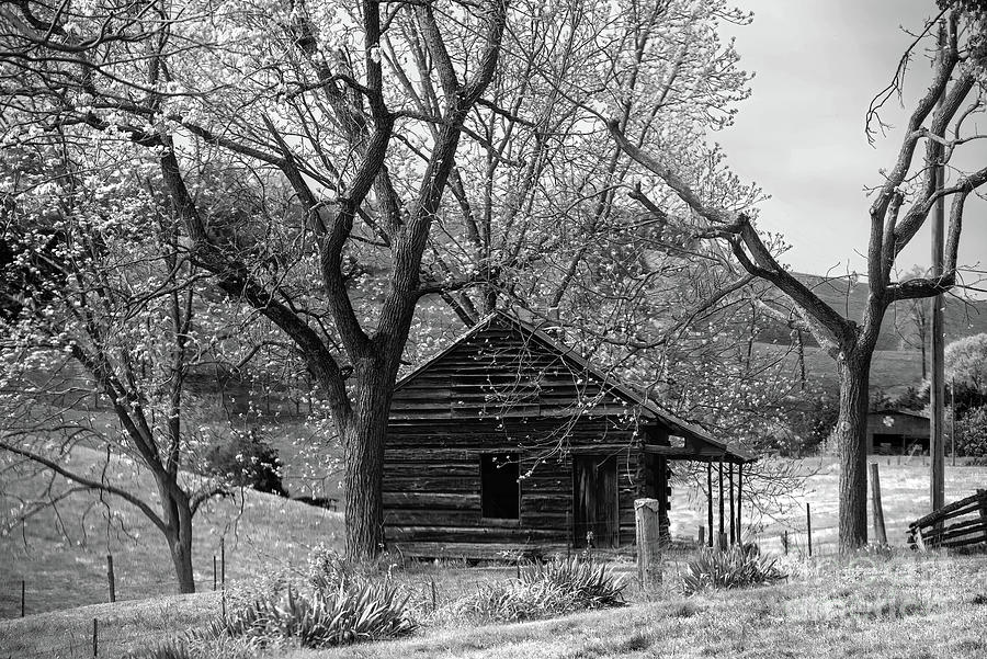 The Old Home Place Photograph by Nicki McManus