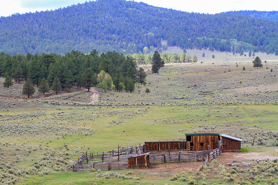 The Old Home Place Photograph by Steve Templeton - Fine Art America