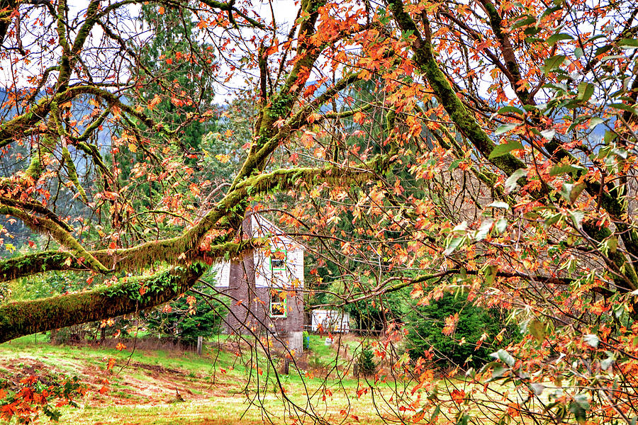 The Old Homestead Photograph by Jack Andreasen - Fine Art America