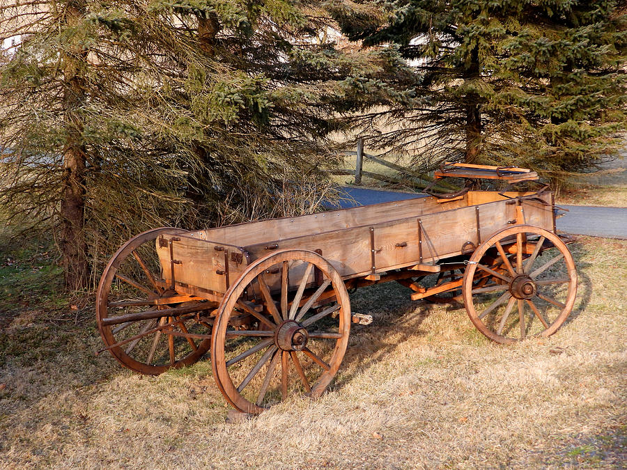 The Old Horse Drawn Wagon Photograph by Living Color Photography Lorraine Lynch