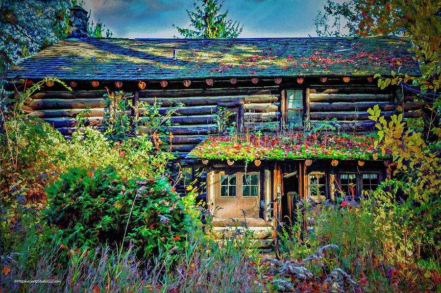 The Old Log Cabin Color Photograph by LeeAnn McLaneGoetz McLaneGoetzStudioLLCcom