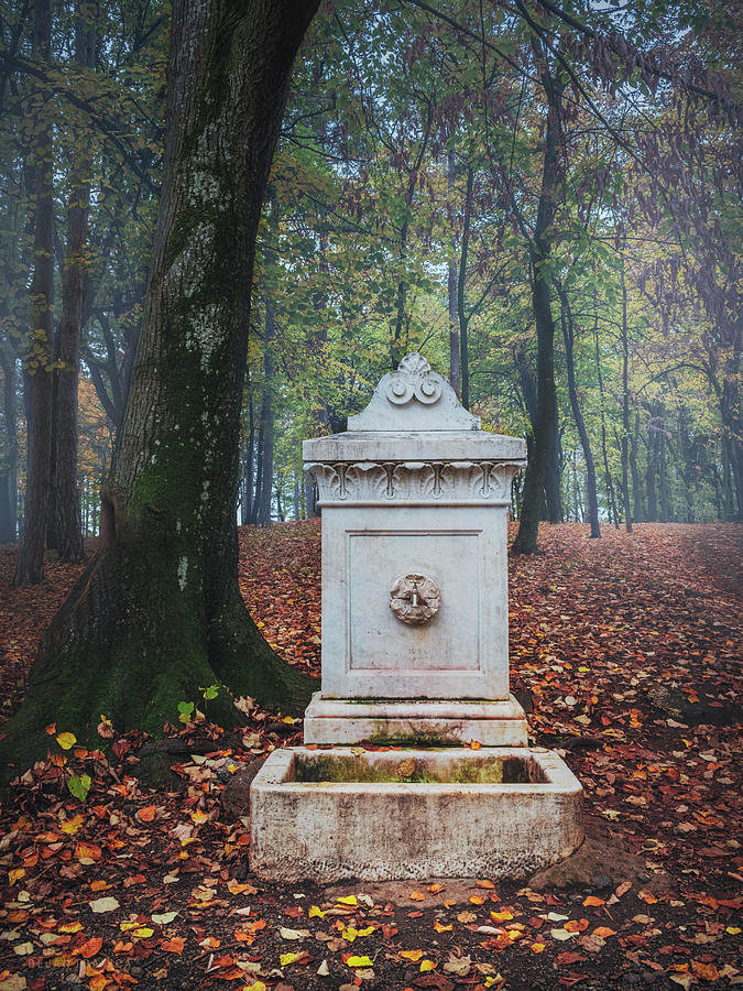 The old marble fountain in the forest on Oplenac hill in Serbia  Photograph by Dejan Travica