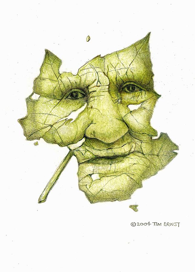 The old old leaf face Drawing by Tim Ernst