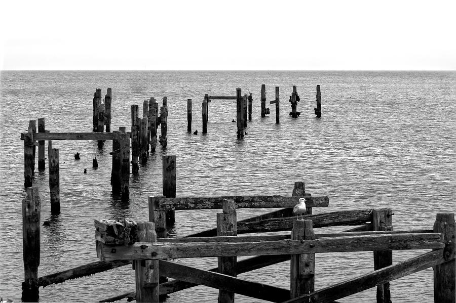 The Old Pier Swanage Photograph