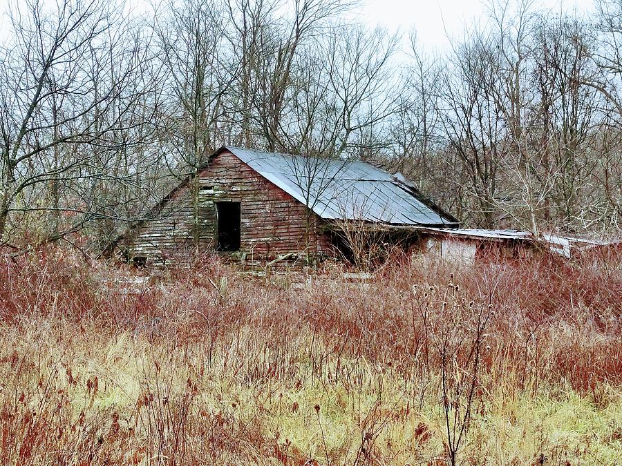 The Old Red Barn Photograph by Bettina Guignon - Pixels