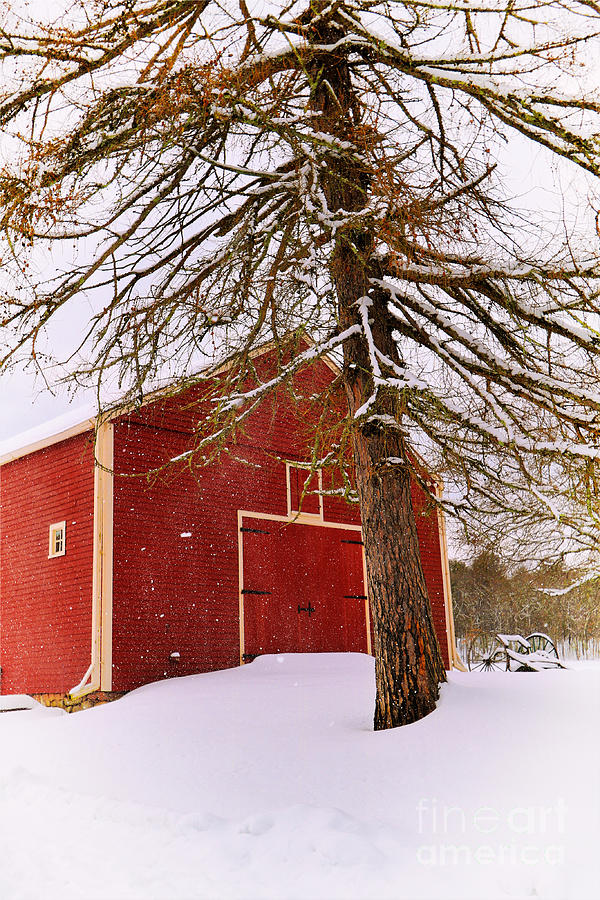 The Old Red Barn In Winter Photograph