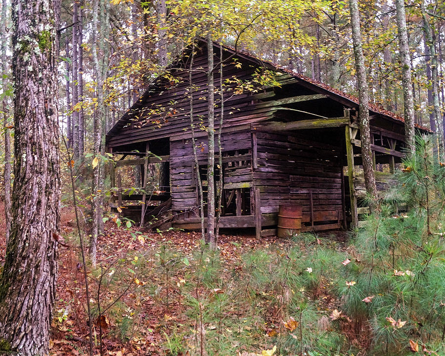 The Old Stable In The Woods Photograph