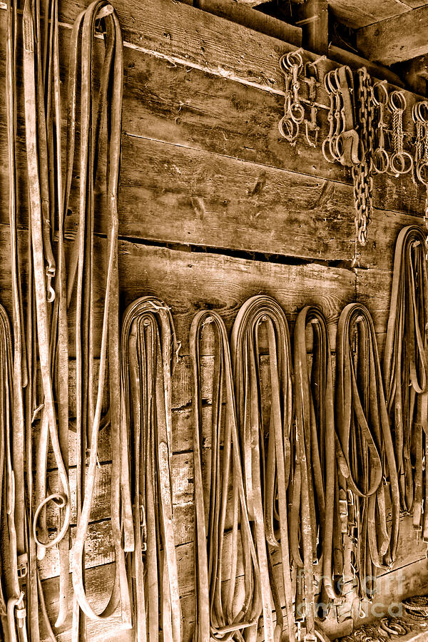 The Old Tack Room - Sepia Photograph by American West Legend The Old Tack Room - Sepia Photograph by American West Legend