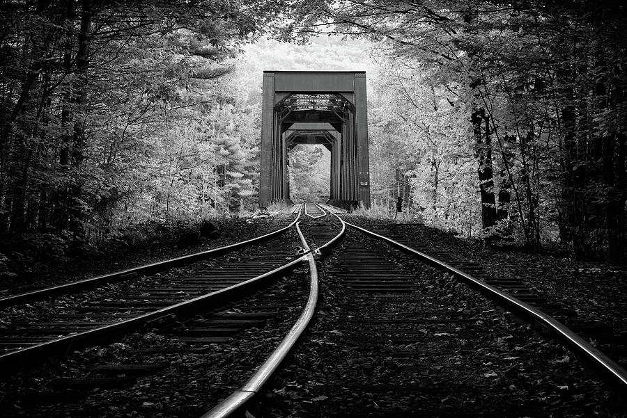 The Old Trestle Photograph by Kristen Wilkinson