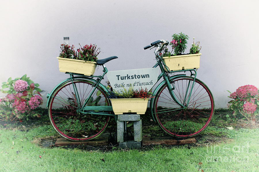 The old Turkstown bicycle Photograph by Joe Cashin