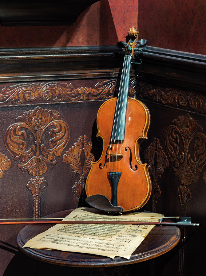 The Old Violin Photograph by Tim Stanley