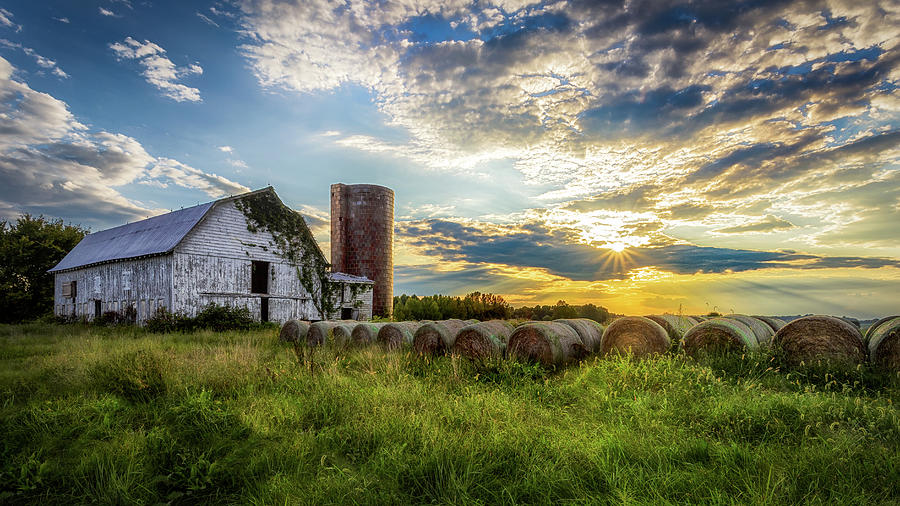 The Old White Barn Photograph by C  Renee Martin