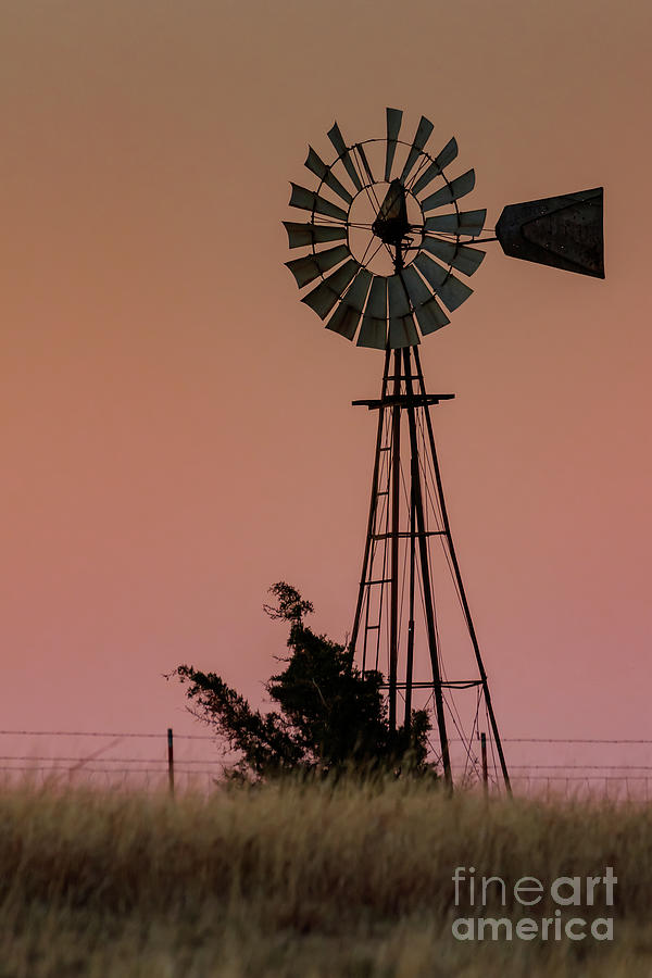 The Old Windmill Photograph by Richard Smith