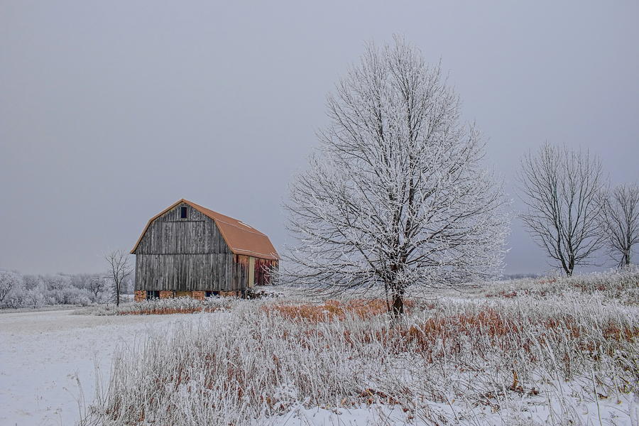 The Old Yellow Barn and Rime Ice Photograph by Dale Kauzlaric
